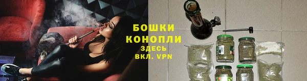 трава Арсеньев