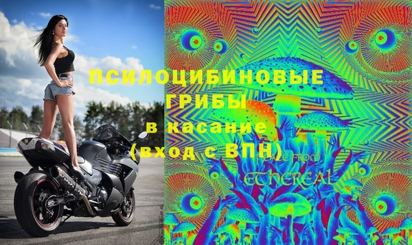 трава Арсеньев